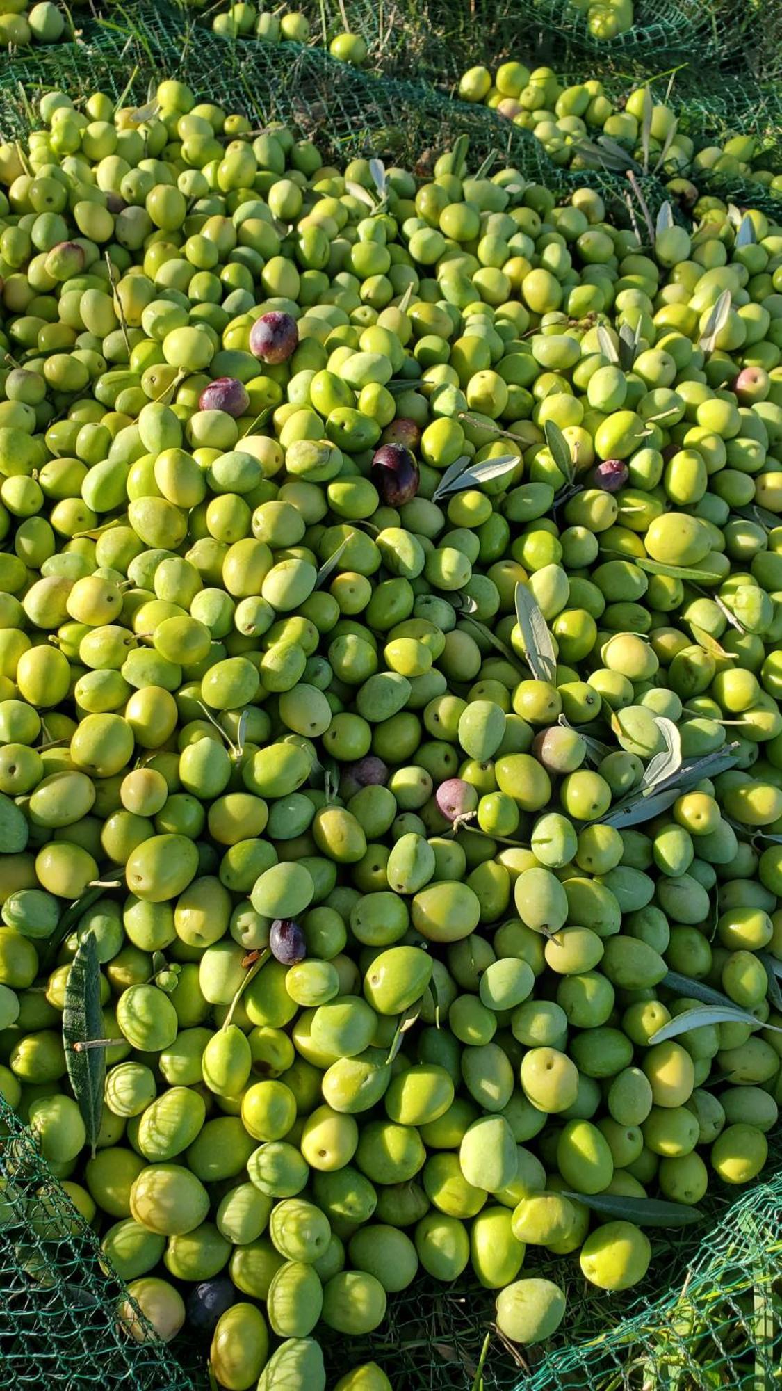 LaurisReve En Luberon别墅 外观 照片