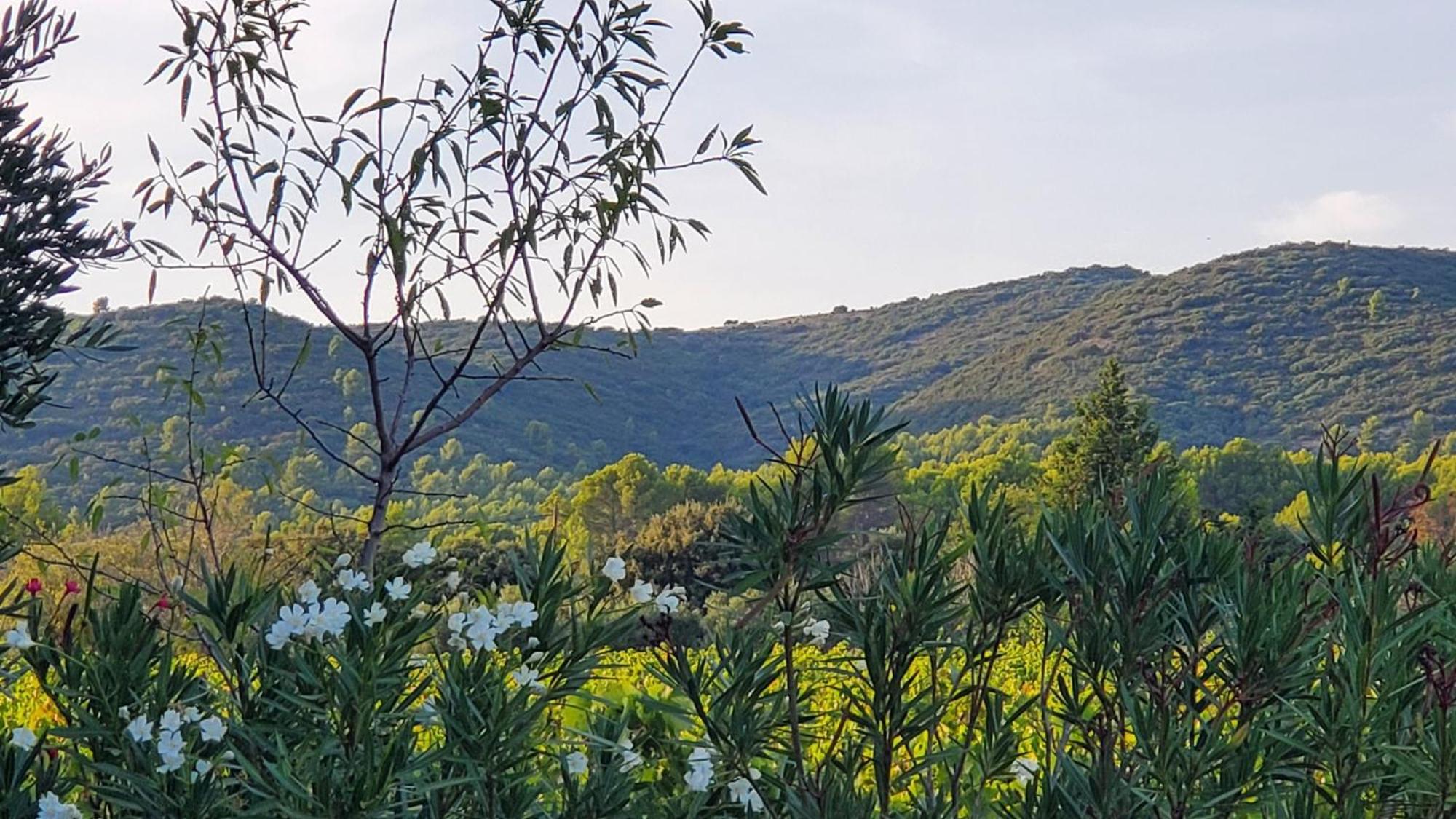LaurisReve En Luberon别墅 外观 照片